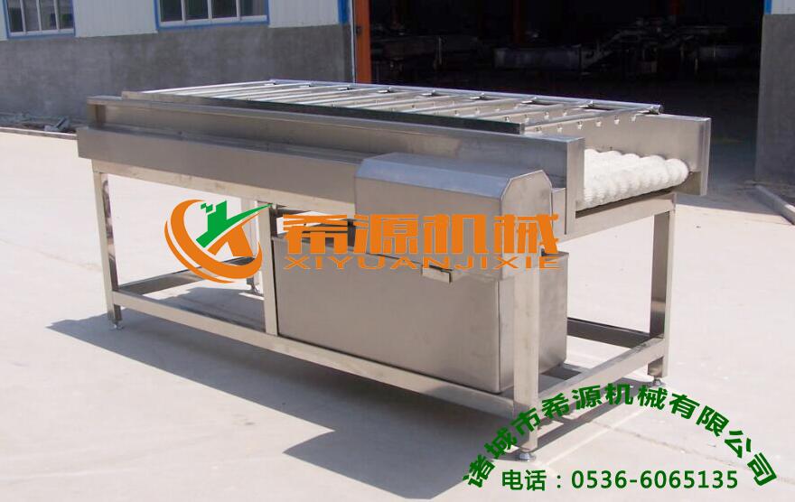 毛輥清洗機